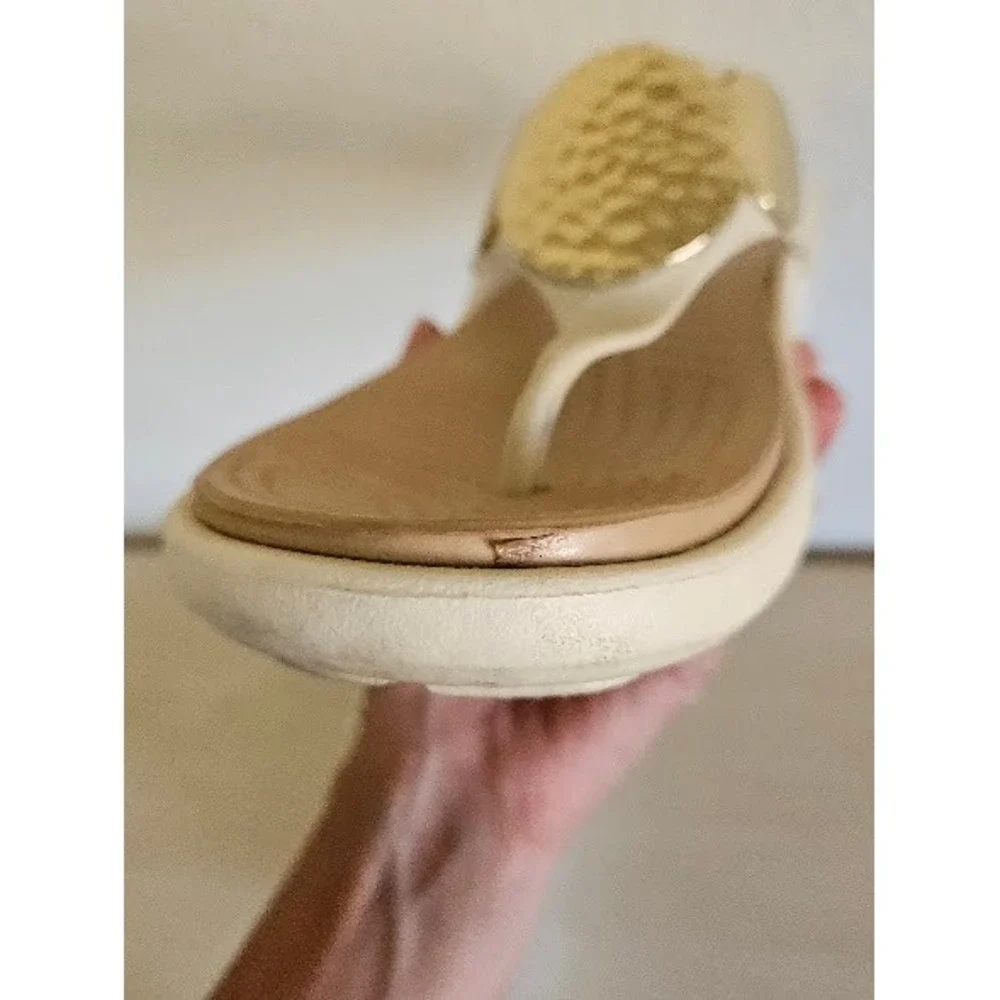 CROCS note minor
